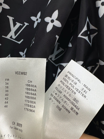 Louis NEW Hooded down jacket